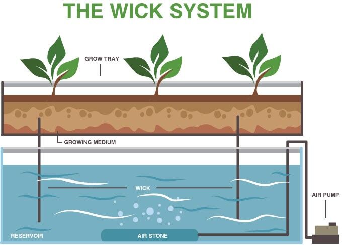 Net Pots Hold Plants And Medium Securely In Hydroponics Systems.